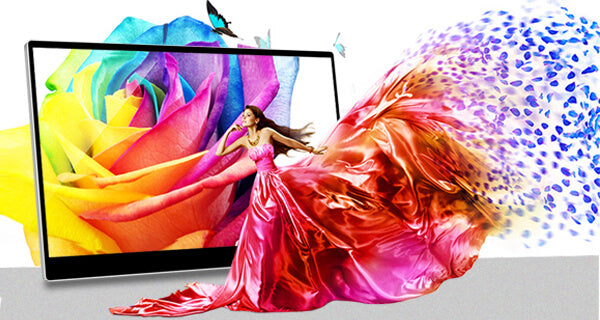 100% Adobe Color Gamut, 10-Bit Color