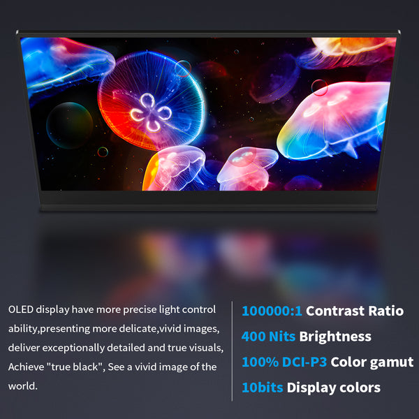 13.3 Inch 4K OLED 100% DCI-P3 Touch Gaming Monitor Support MPP Stylus Pen (PI-X3 Pro)