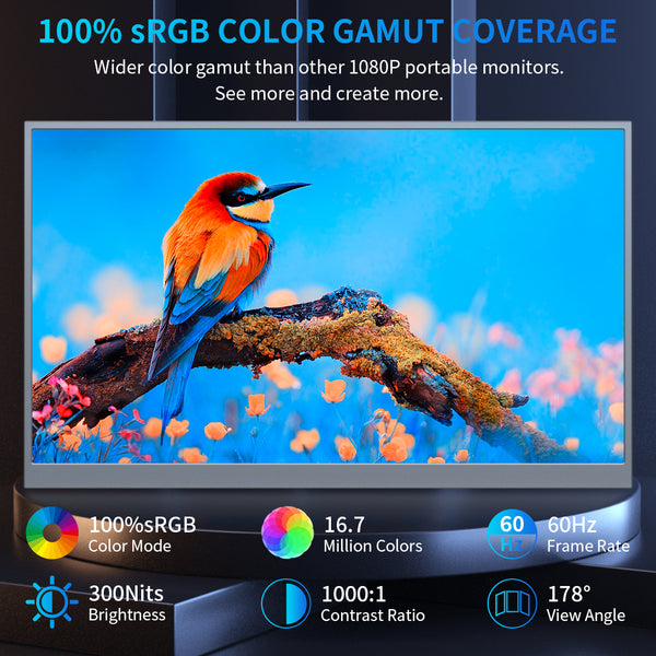 18.5 Inch IPS 1920*1080 FHD 100Hz USB-C With PD Fast Charge Portable Monitor (MG185-FN01)