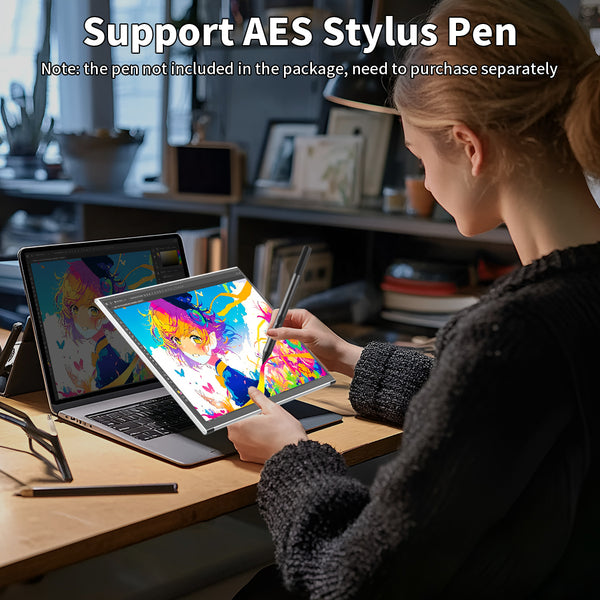 14 Inch 2K OLED 100% DCI-P3 10Bits Touch Portble Monitor Support AES Stylus Pen (PI-X11)