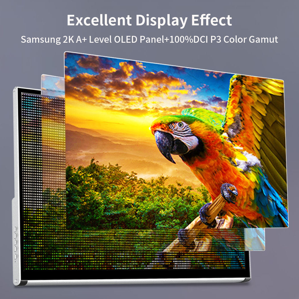 13.3 Inch 2K OLED 100% DCI-P3 10Bits Touch Portable Monitor With Kickstand (PI-X12)