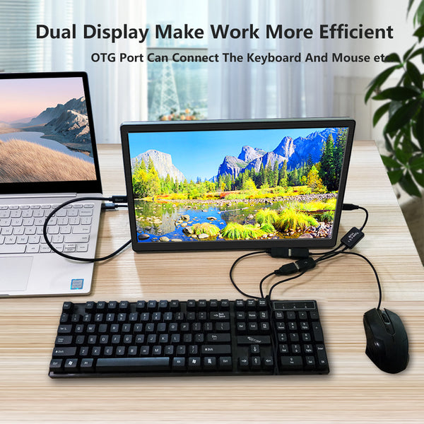 13.3 Inch IPS 1920*1080 FHD With Privacy Protection Portable Touch Monitor (T133F)