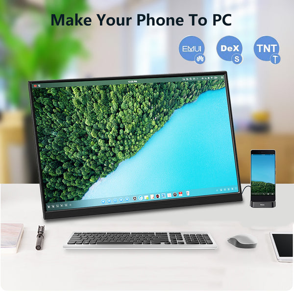 14 inch 4K UHD 100% Adobe RGB USB C/HDMI/MINI DP Portable Monitor  (M140A)