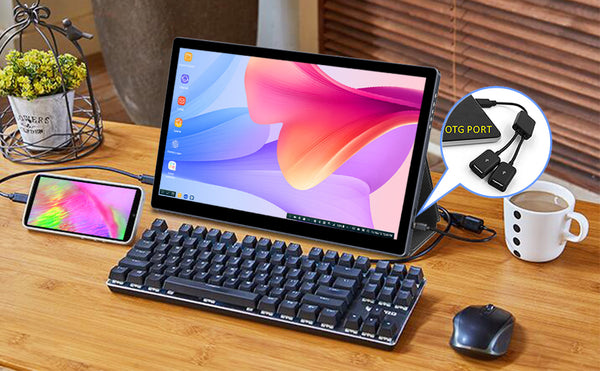 13.3 inch 2K 100%DCI-P3 OLED Touchscreen Portable Monitor With OTG Ports (PI-X5)