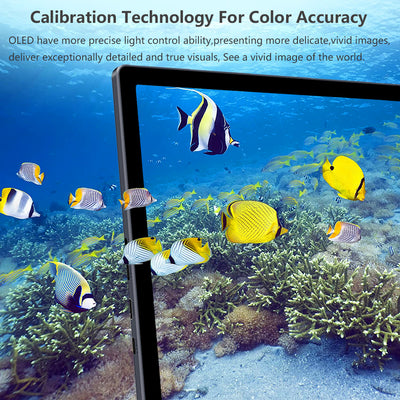 13.3 inch 2K 100%DCI-P3 OLED Touchscreen Portable Monitor With OTG Ports (PI-X5)