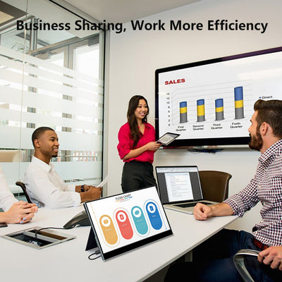 17.3 inch 1080P FHD 300Hz 100%sRGB Touchscreen Monitor Support Capacitive Stylus Pen LCD Display (MG300-FT01)