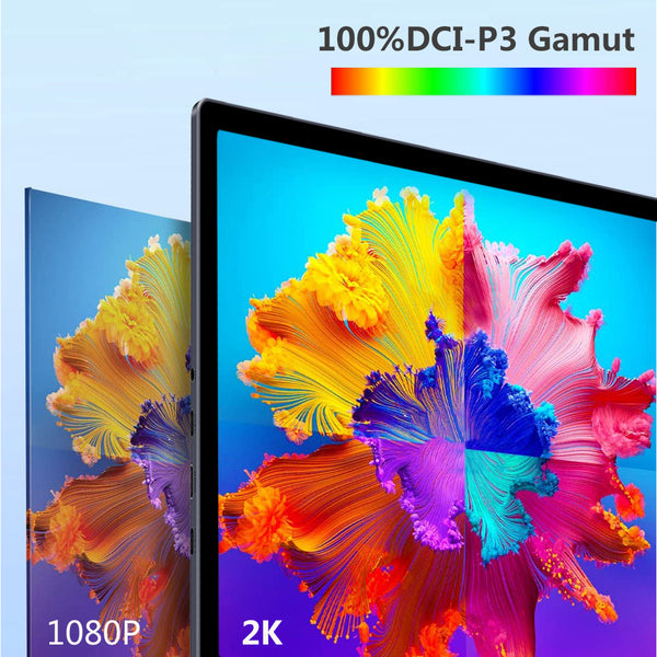 13.3 inch 2K 100%DCI-P3 OLED Touchscreen Portable Monitor With OTG Ports (PI-X5)