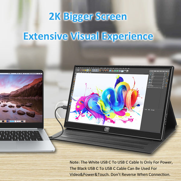 17.3 Inch 2K QHD 120Hz USB-C With PD Fast Charge Portable Monitor (M173A)