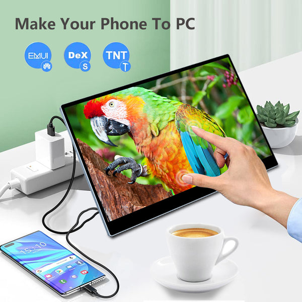 15.6 Inch IPS 1080P 300Hz Touch Portable Monitor With USB C HDMI Mini DP Input (MG300 Pro)